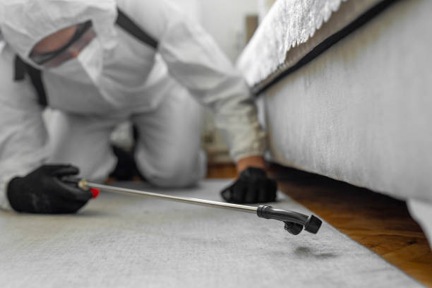Professional Termite Control technician working in Seaman, OH