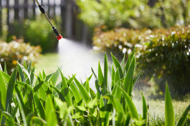 24/7 Emergency Termite Control experts in Seaman, OH