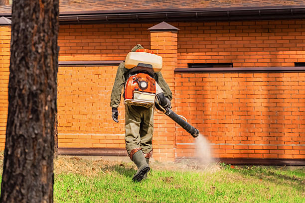 Top rated local Termite Control specialists in Seaman, OH